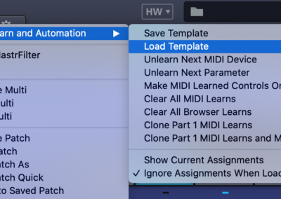 Omnisphere - Load Template