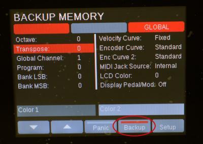 P Series Backup Memory